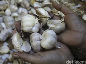 Jurus Luhut agar RI Tak Lagi Impor Bawang Putih
