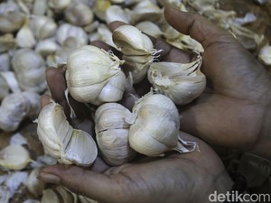DPR Cecar Mendag Soal Izin Impor Bawang Putih, Curiga Ada Mafia