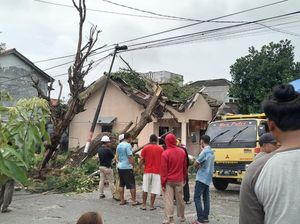 Rumah Warga di Karimun Rusak Tertimpa Pohon Tumbang