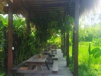 RUMKA Bali, Kafe Hidden Gem Pinggir Sawah di Tengah Kota Denpasar