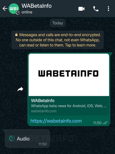 Tampilan fitur voice note view once di WhatsApp