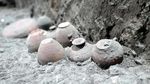 Potret Artefak Berusia 2.000 Tahun yang Baru Digali di Pompeii