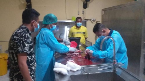 Hasil autopsi mayat bayi dengan ari-ari yang dibuang ibunya mengungkap penyebab kematian karena proses kelahiran.