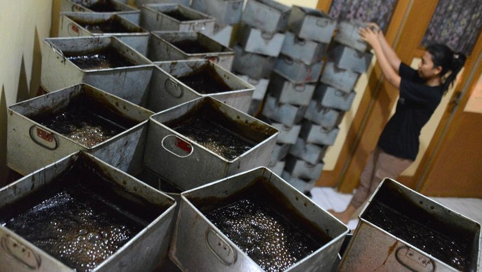 Pekerja memindahkan air cincau saat proses produksi di salah satu industri rumahan, Kampung Laksana, Kecamatan Kuta Alam, Banda Aceh, Aceh, Senin (27/3/2023).  Menurut pelaku usaha, produksi cincau selama Ramadhan 1444 Hijriyah meningkat kisaran 30 persen dibanding pada bulan Ramadhan sebelumnya,  sedangkan harga penjualan cincau masih bertahan Rp25.000 per lempeng. ANTARA FOTO/Ampelsa/rwa.