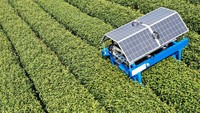 Dengan begitu, robot pemetik teh tersebut dapat mewujudkan pemetikan teh berkelanjutan selama 24 jam serta ramah lingkungan.