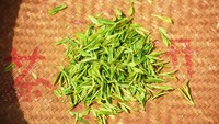 Hal tersebut bertujuan untuk memastikan bahwa ia dapat memetik kuncup teh West Lake Longjing dengan benar.