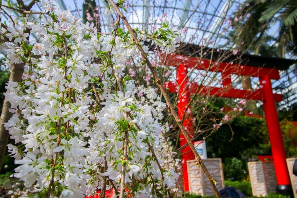 Gardens by The Bay Singapura