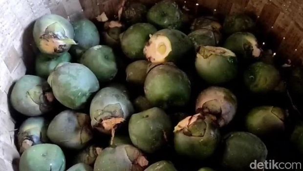 Kolang-kaling