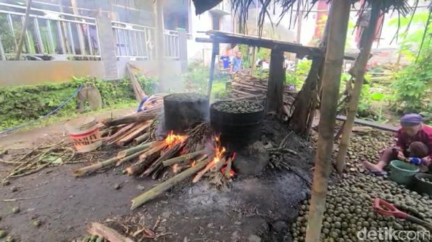 Petani kolang-kaling di Desa Terlaya, Kecamatan Bantarkawung, Kabupaten Brebes, Jawa Tengah