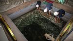 10 Masjid Tertua di Tanah Air, Ada yang Dibangun Tahun 1389