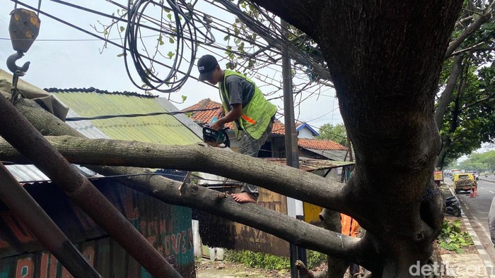 Penanganan pohon tumbang di Bandung.