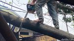 Kala Gergaji Mesin Petugas Beradu dengan Pohon Tumbang di Bandung