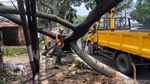 Kala Gergaji Mesin Petugas Beradu dengan Pohon Tumbang di Bandung