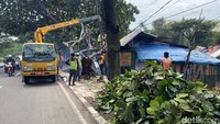Sejumlah pohon tumbang di Jalan Soekarno Hatta, Kota Bandung usai diterjang hujan angin disertai angin kencang pada Sabtu (25/3/2023).  (Foto: Wisma Putra/detikJabar).