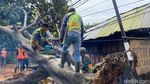 Kala Gergaji Mesin Petugas Beradu dengan Pohon Tumbang di Bandung