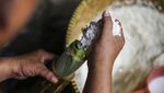 Lemang Bambu Banyak Diincar Kala Ramadan, Begini Potret Pembuatannya