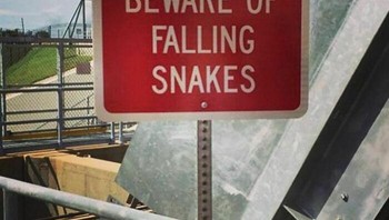 Hati-hati ular berjatuhan. Masih mau lewat jalan itu? Foto: ominous_signs via Bored Panda