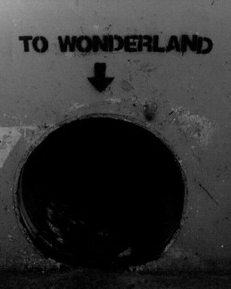 10 Tulisan Misterius dan Mengerikan, Run Bestie, Run!