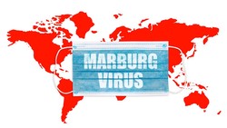 Bertambah, Guinea Khatulistiwa Laporkan 13 Kasus Virus Marburg