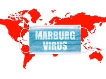 Video: Level Risiko Penyebaran Virus Marburg Tingkat Global Rendah
