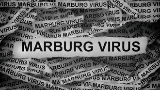 Negara Ini Laporkan Wabah Pertama Virus Marburg, 9 Orang Terinfeksi