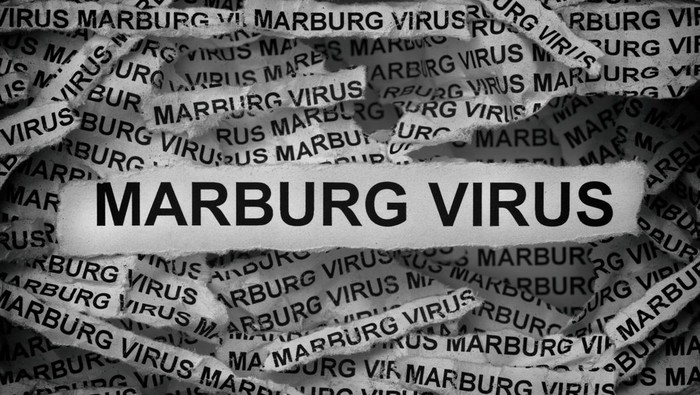 Strips of newspaper with the words Marburg Virus typed on them. Black and white. Close up.