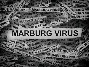 6 Orang Meninggal di Rwanda Akibat Virus Marburg, Mayoritas Tenaga Medis