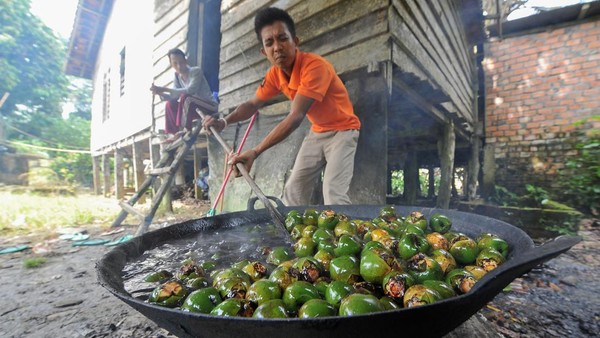 Berkah Ramadan untuk Penjual Kolang-kaling Musiman