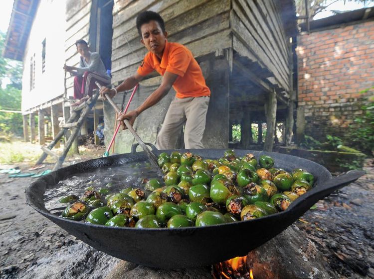 Berkah Ramadan untuk Penjual Kolang-kaling Musiman