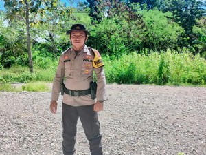 Aksi Bripka Virmon Bina Kelompok Tani hingga Cegah KDRT di NTT