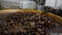 Pedasnya Nagih! Keong Sawah Jadi Menu Ramadan Favorit di Purwokerto