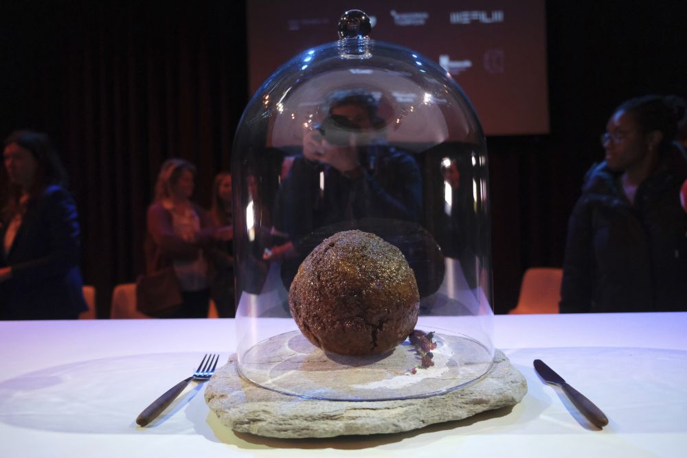 Daging Mamut Purba Buatan Lab Ini Diolah Jadi Bola-bola Daging