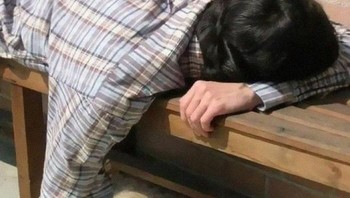 Perhatian banget masnya, kucingnya tidur dikasih tangan sebagai bantal. Foto: (Bored Panda).