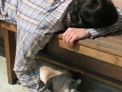 Gemas Banget Sih Ini, Potret Kedekatan Hewan dan Manusia