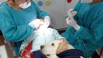 Lucu banget anjingnya meluk si kecil yang sedang berobat. Foto: (Bored Panda).