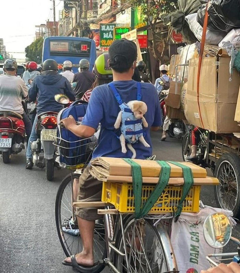Berikut ini potret kedekatan manusia dengan hewan yang begitu menggemaskan. Kalian seperti ini juga nggak nih detikers?