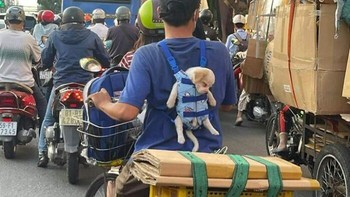 Lucunya kelakuan masnya yang bawa hewan pelihataan dengan cara digendong gitu. Foto: (Bored Panda).