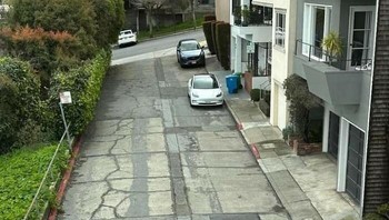 Anjingnya nurut banget disuruh foto mau. Foto: (Bored Panda).