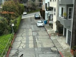 Gemas Banget Sih Ini, Potret Kedekatan Hewan dan Manusia