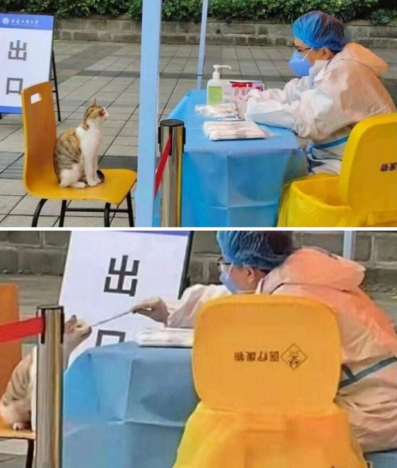 Berikut ini potret kedekatan manusia dengan hewan yang begitu menggemaskan. Kalian seperti ini juga nggak nih detikers?