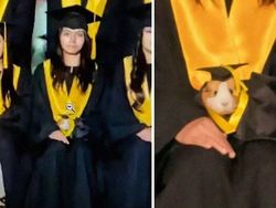 Gemas Banget Sih Ini, Potret Kedekatan Hewan dan Manusia