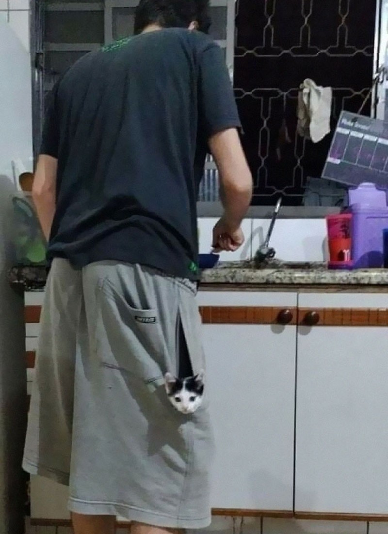 Berikut ini potret kedekatan manusia dengan hewan yang begitu menggemaskan. Kalian seperti ini juga nggak nih detikers?