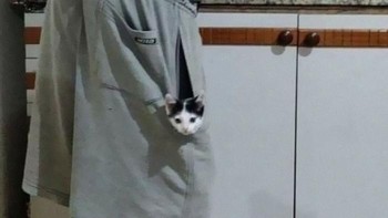 Biar kucingnya nggak ke mana-mana, jadi ke dapur dikantongin aja. Foto: (Bored Panda).