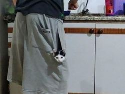 Gemas Banget Sih Ini, Potret Kedekatan Hewan dan Manusia