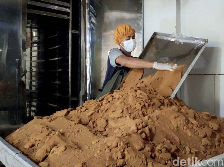 Gula Semut dari Lebak Tembus Pasar Internasional