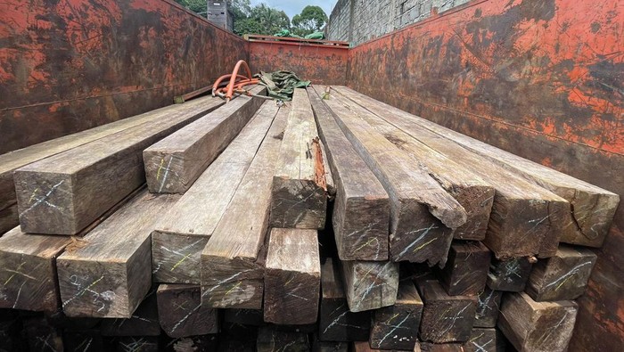 Polisi menyita 2 truk kayu jenis meranti dari 3 orang pelaku illegal logging di Kutai Barat (Kubar), Kalimantan Timur (Kaltim).