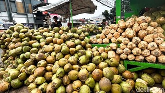 9 Kepala SPPG yang Kasih MBG Kelapa Utuh Kena Semprit BGN, Ini Sanksinya