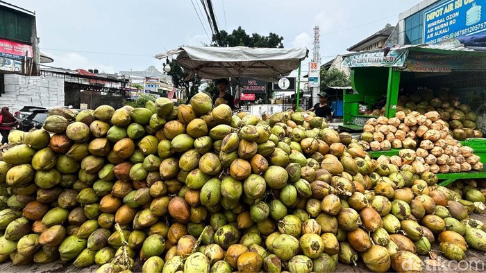 Memasuki bulan Ramadan, penjualan kelapa muda meningkat drastis. Kelapa ini diserbu warga dalam bentuk utuh maupun es kelapa untuk berbuka puasa.