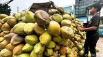 Laris Manis, Bulan Ramadan Pedagang Kelapa Panen Rezeki