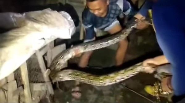 Naruto pornosidan Tenten Seksi etuk lezbiyenler hd video onlayn